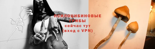 герыч Абаза
