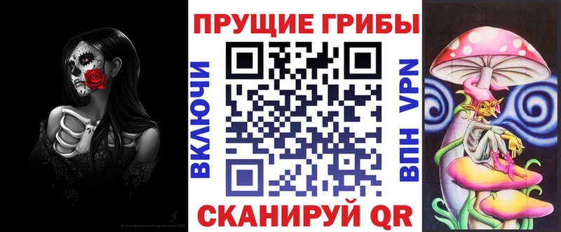 Галлюциногенные грибы Cubensis  Котово 